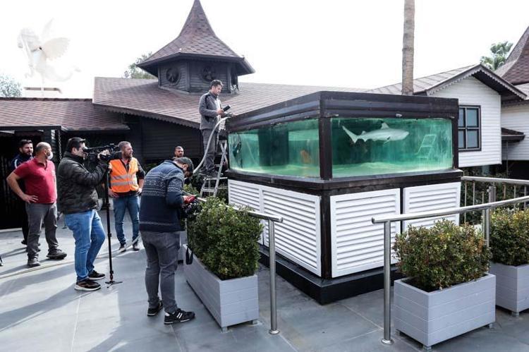 50 BİN DOLAR TEKLİF EDEN OLMUŞ