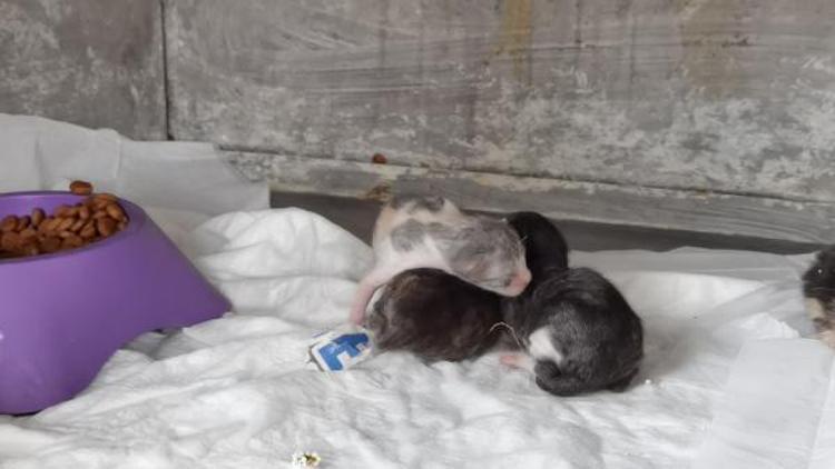 ÖNÜMÜZDEKİ 2 AY ÇOK ÖNEMLİ