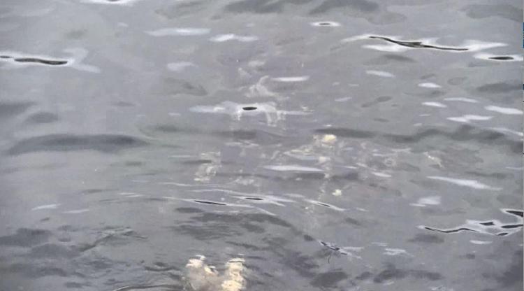 BİR DAHA MÜSİLAJIN GÖRÜLEBİLECEĞİNİ SÖYLÜYORDUK