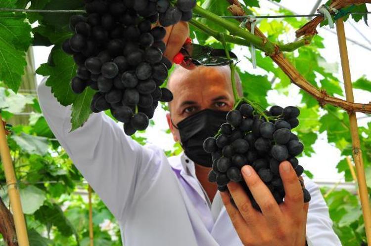 ULUSLARARASI HAK SAHİPLİĞİMİZİ DE KANITLAYABİLECEĞİZ