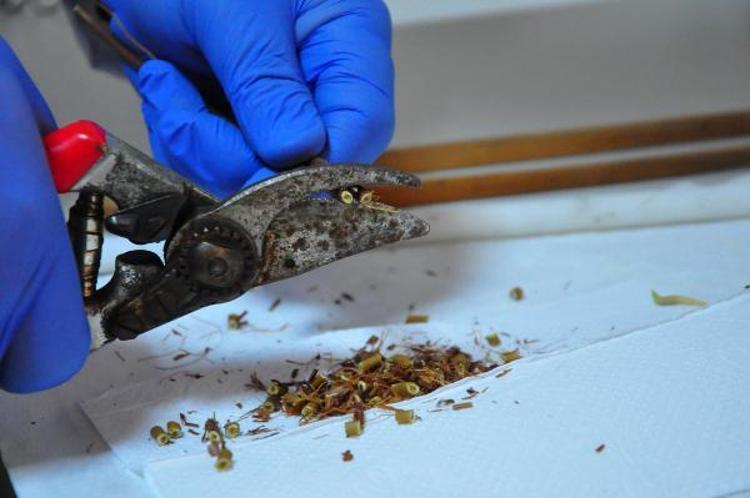 ÇALIŞMA YAYINLANMA AŞAMASINDA