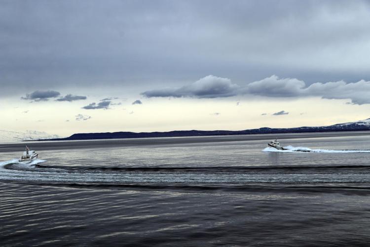 İNCİ KEFALİNİ DE KORUYACAKLAR