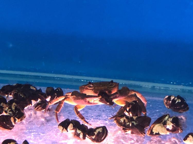 DENEYSEL ÇALIŞMAMIZIN SONUÇLARI VERİMLİ OLDU