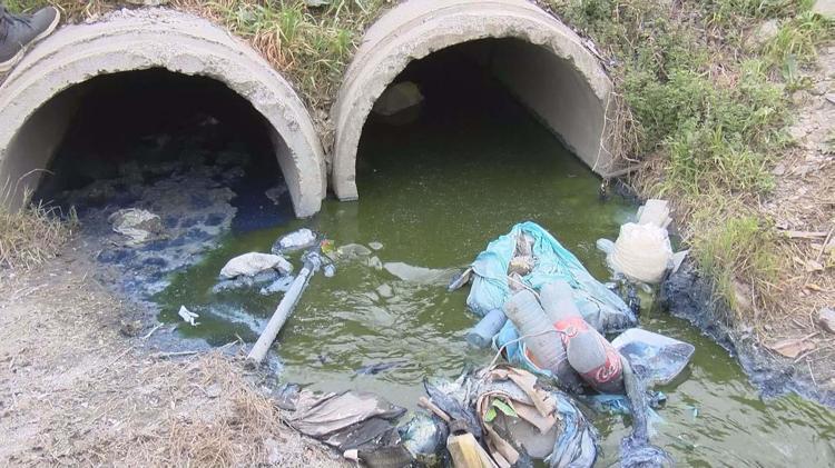 AŞIRI DERECEDE KOKU YAYIYOR