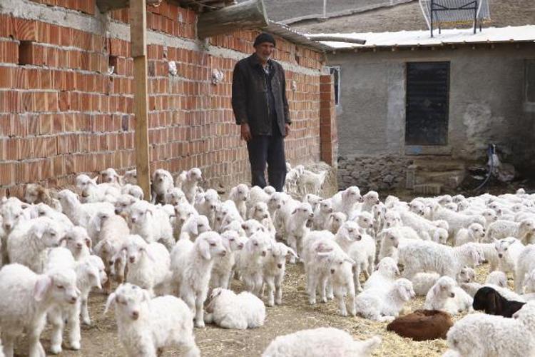 BAKANLIK HAREKETE GEÇTİ