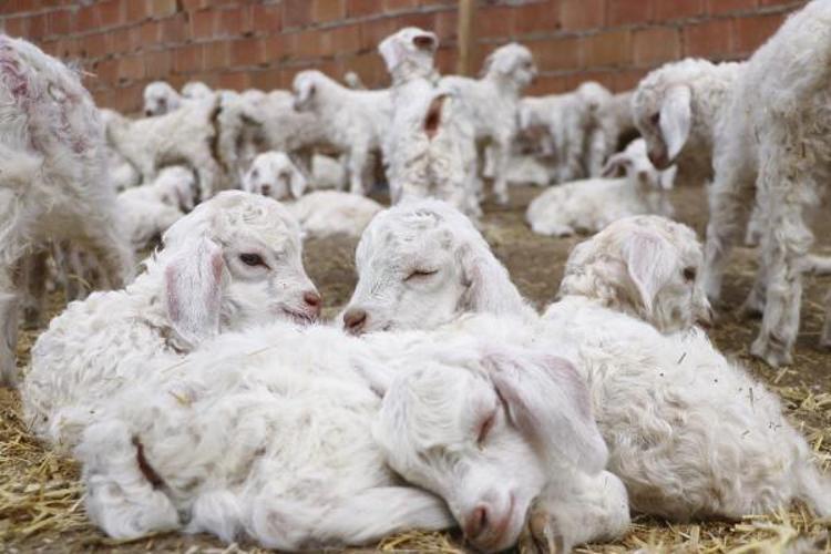 5 BAŞLIKTA ÖDEME YAPILDI