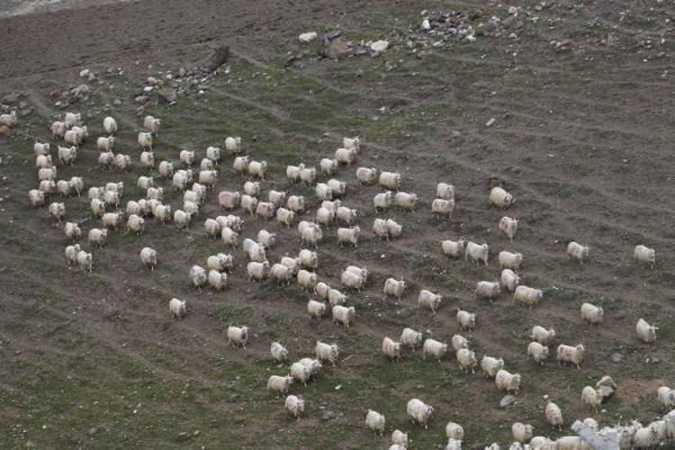 CİDDİ ANLAMDA TOPARLANDI