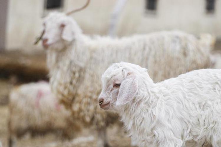 YENİ PROJELER YAPILMALI