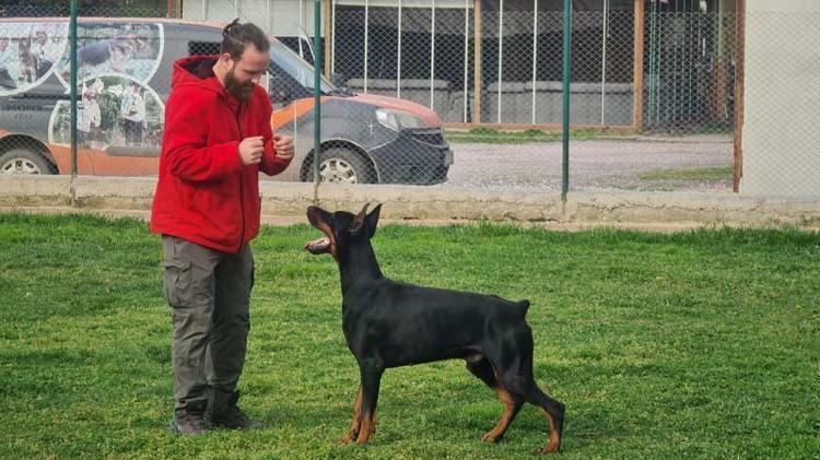 BİZİ ALANINDAN UZAKLAŞTIRMAYA ÇALIŞIYOR