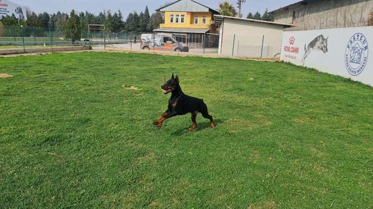 YANLARINDAN SAKİNCE, TEMAS KURMADAN GİTMELİYİZ