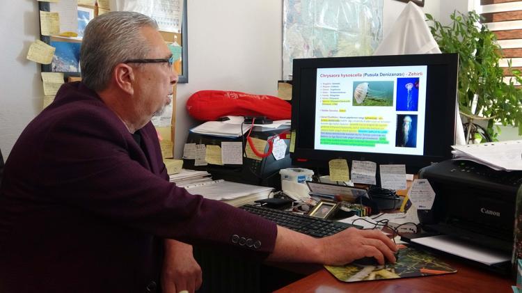 MARMARA DENİZİNDE ÜREME ŞANSLARI ARTTI