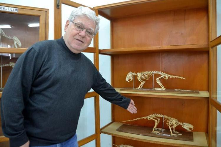 KATLEDİLMESİNE İZİN VERMEYELİM