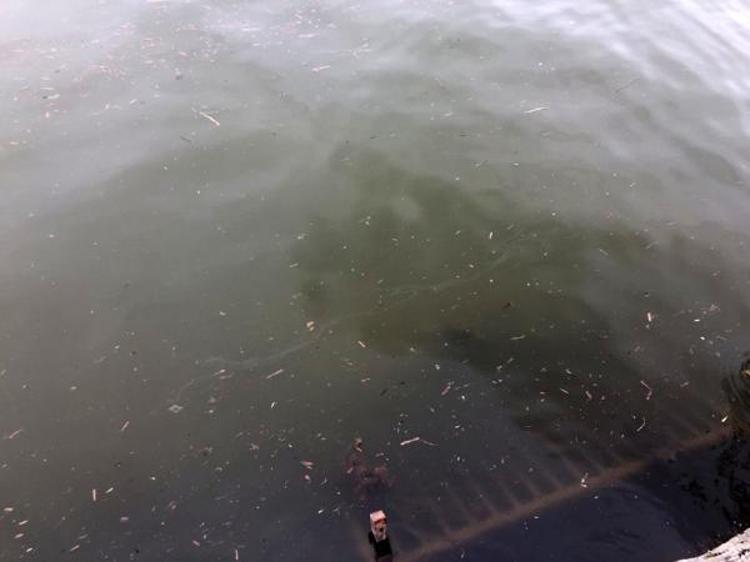 SANAYİ, TARIM VE EVSEL KİRLİLİK YÜKÜ