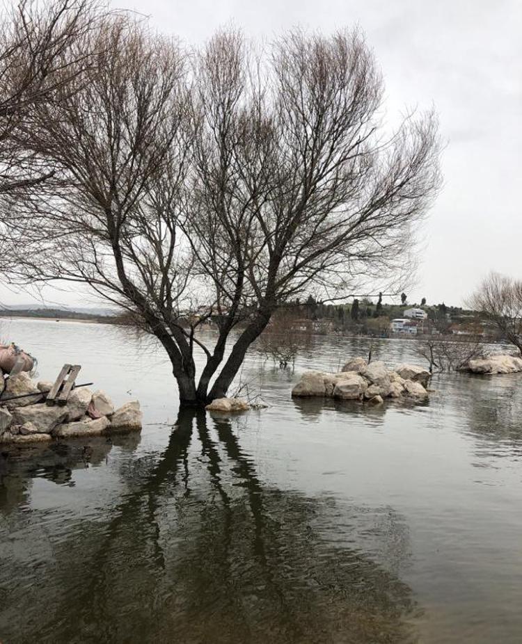 YOK OLMA TEHLİKESİ ALTINDAKİ TÜRLER