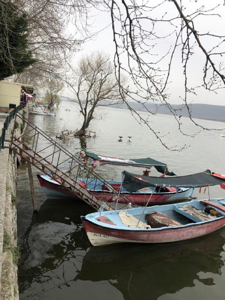 DOĞAL SÜREÇ İNSAN ELİYLE BOZULUYOR