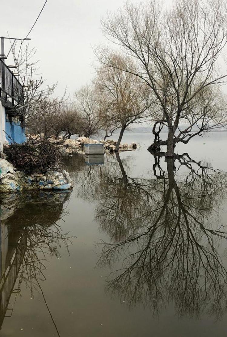 TEKNELERİ GÖL KIYISINDA TEMİZLEMEYİN