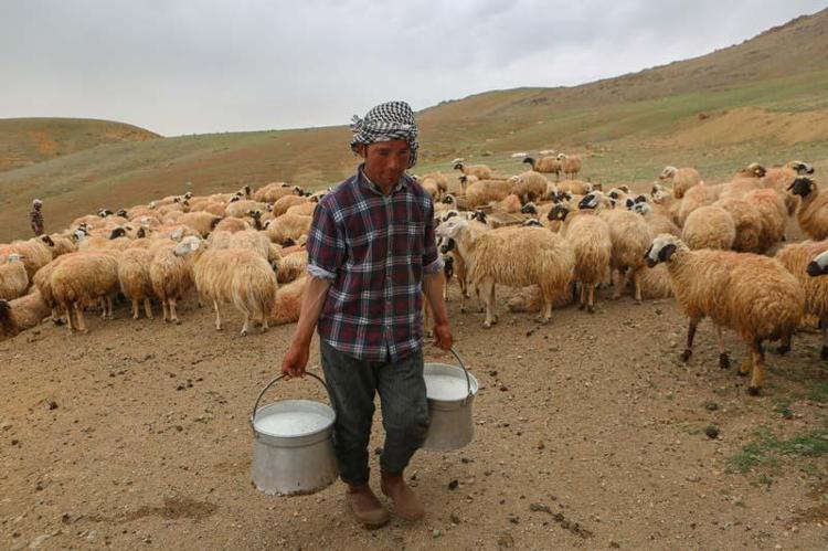 BU YAZIN SONUNDA DÜĞÜN YAPACAĞIM