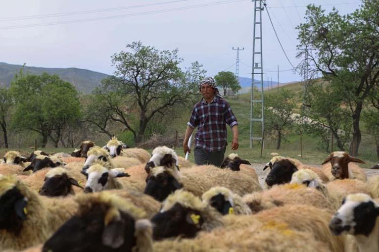 ANASINI, BABASINI, SEVDİĞİNİ GÖRMÜYOR