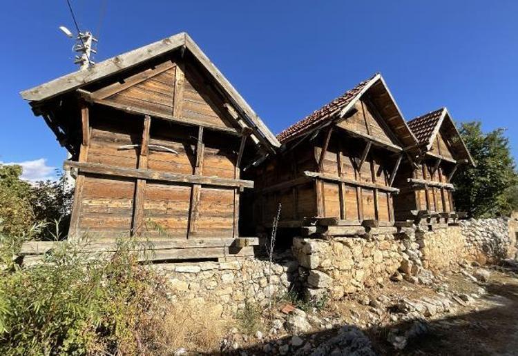 1658 TAHIL AMBARI, 79 ARI SERENİ