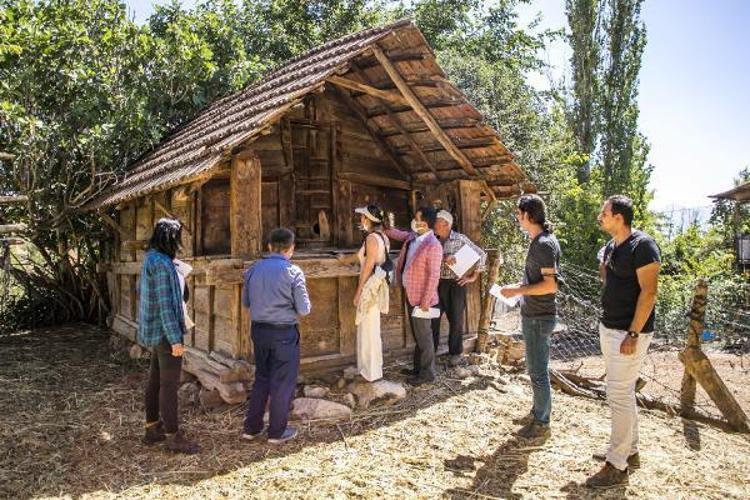 SEDİR AĞACINDAN YAPILMIŞLAR