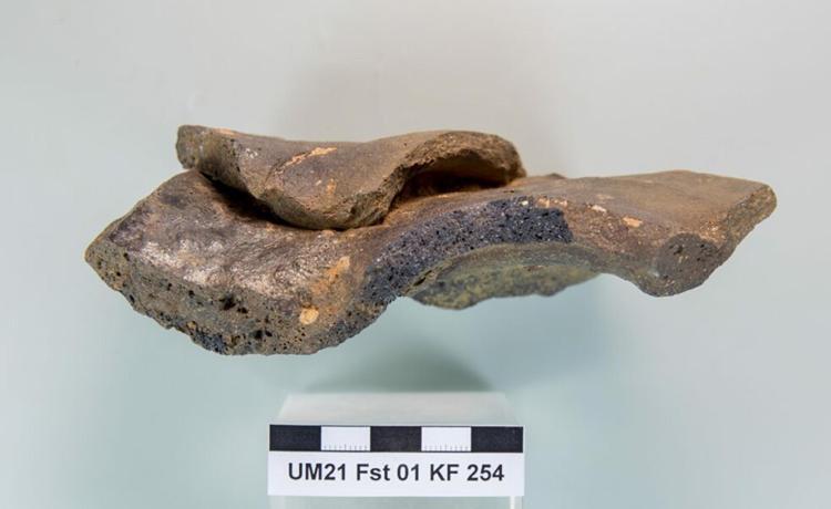 İHTİYAÇTAN FAZLA ÜRETİM, AKLA YAKIN SENARYO