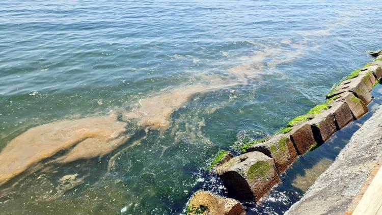 RİSK ALTINDA, TEHLİKEDEYİZ