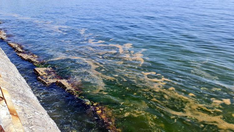 DENİZİ ÖLDÜREBİLİRİZ