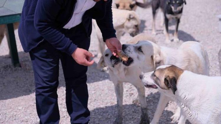 ATIK GIDAYI MAMAYA DÖNÜŞTÜRDÜK