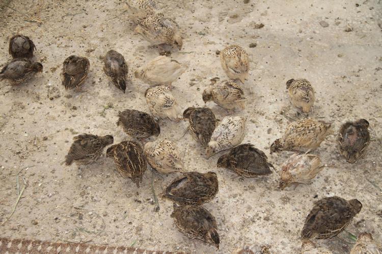 ÜRETİM YAPMAYI SEVİYORUZ