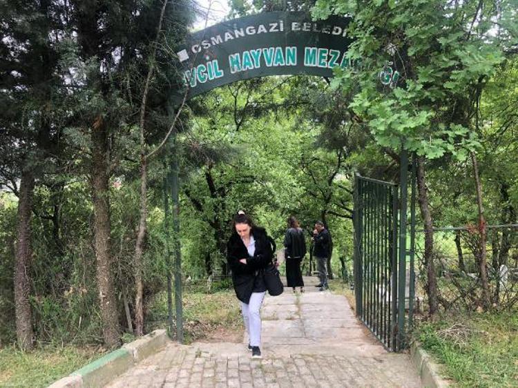 BİZ DE CAN DOSTLARIMIZI ARIYORUZ