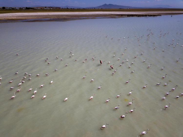 PROJENİN KAPSAMI GENİŞLETİLMELİ