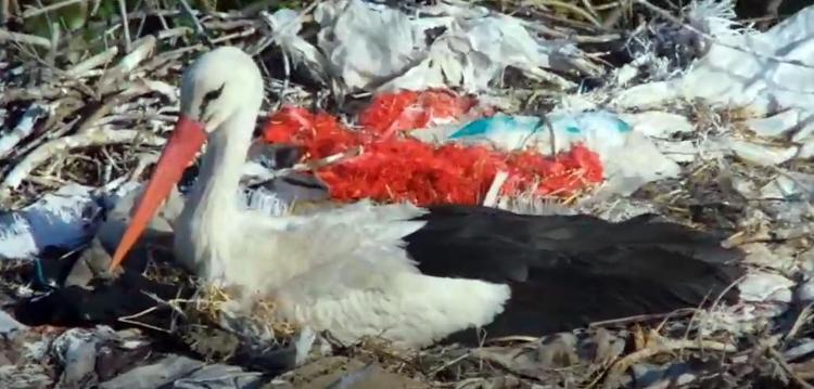 FİLME KONU OLMUŞTU