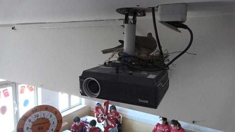 KULUÇKA SÜRESİNİ GÖZLEMLİYORUZ