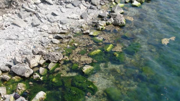 ENDÜSTRİYEL BALIKÇILIK DENGELERİ BOZDU