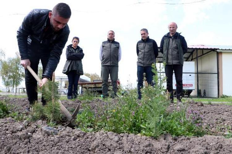 TOHUM, FİDAN VE ÇAPA SINAVI