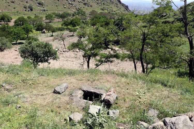 CENAZEYİ ALDIĞIMIZDA BABAMIN YANINA GÖMECEĞİZ