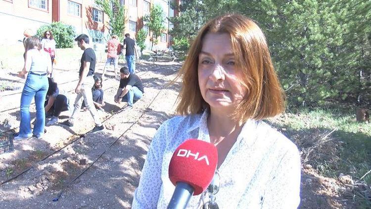 YAPILAR ARASINDAKİ BOŞLUKLARDA NEDEN TARIM YAPILMASIN