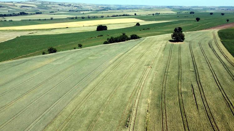 MİLLİ KURAKLIK MERKEZİ KURULMALI