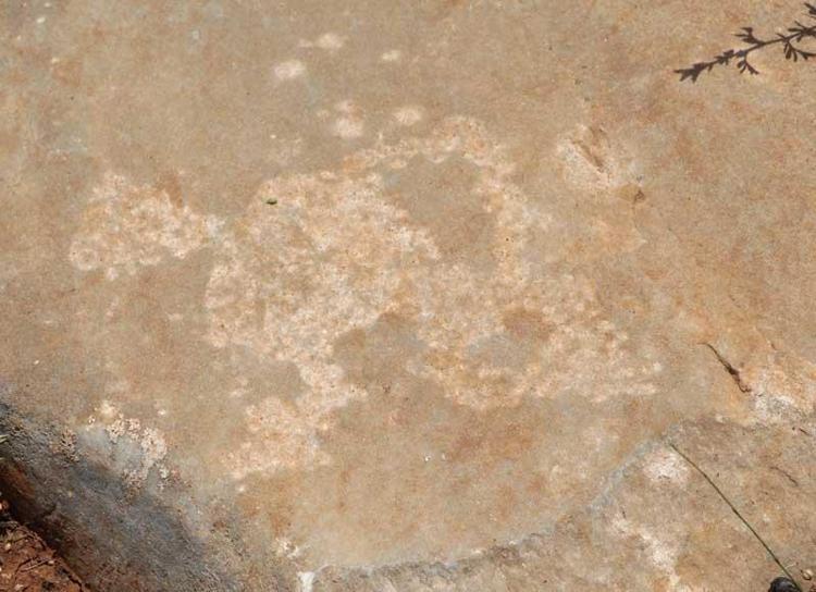 KAYA RESİMLERİ ARAŞTIRMA MERKEZİ KURULACAK