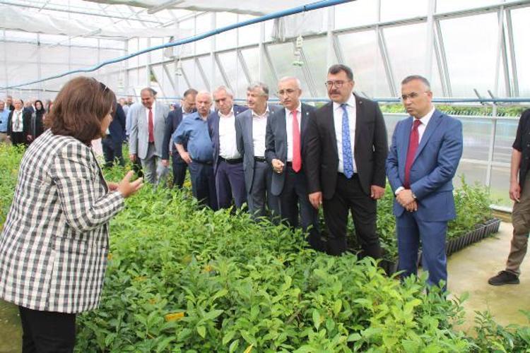 ‘ÇAY GEN HAVUZU MARKA DEĞERİMİZ İÇİN ÖNEMLİ’