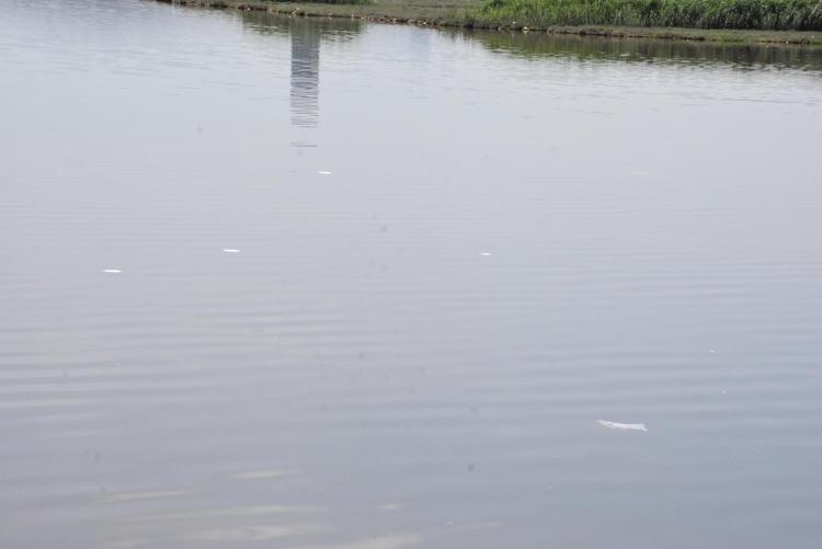 ‘KIYI PLANLAMASI İYİ YAPILMALI