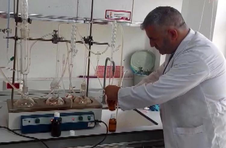 LAVANTA YAĞI ELDE EDİLDİ