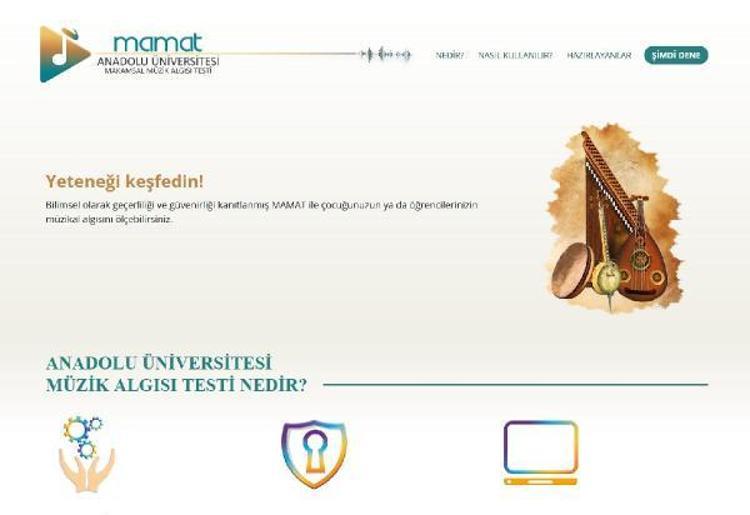 ULUSLARARASI ÖRNEĞİ YOK