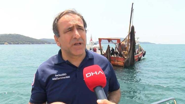 290 BİN METREKARE AĞ ALDIK