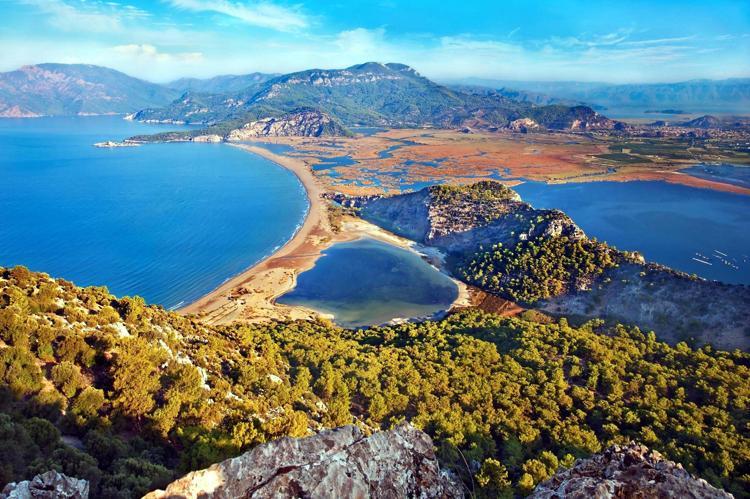 ‘10 KAPLUMBAĞADAN 1 VEYA 2’SİNİN VÜCUDUNDA PLASTİĞE RASTLIYORUZ’