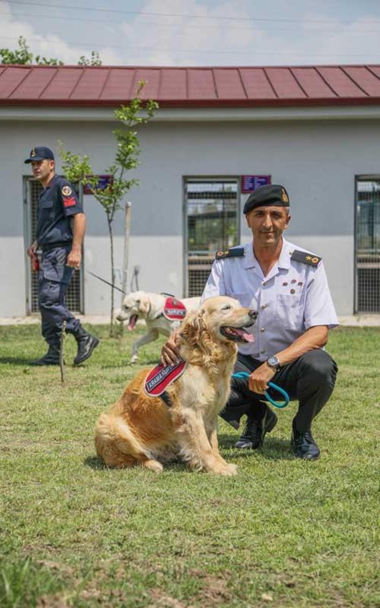 TÜRKİYENİN TEK YANGIN TESPİT KÖPEĞİ