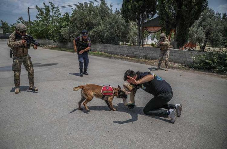 CANLI ARAMADA 1 NUMARA OCAK