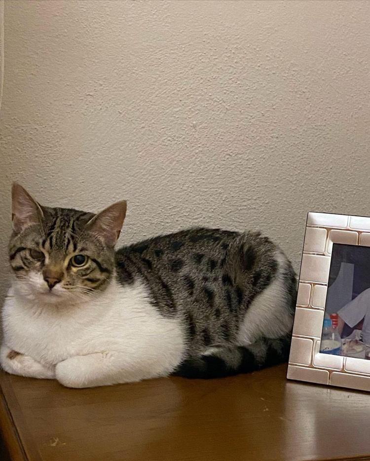 ‘ÇOCUKLAR EL ARABASINA KOYUP ÇÖPE ATMAYA GÖTÜRMÜŞ’