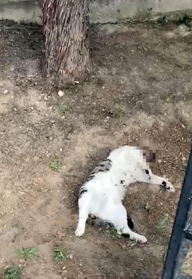 ‘KİM SUÇLUYSA CEZASINI ÇEKECEK’