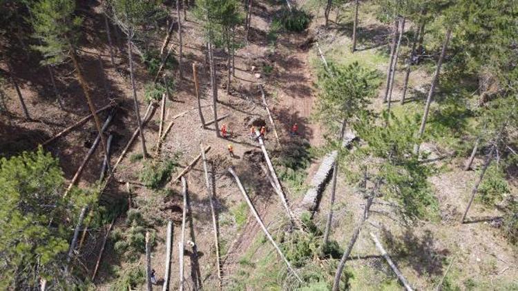 AĞAÇLARI GÖRÜNCE ÇOK ÜZÜLDÜK